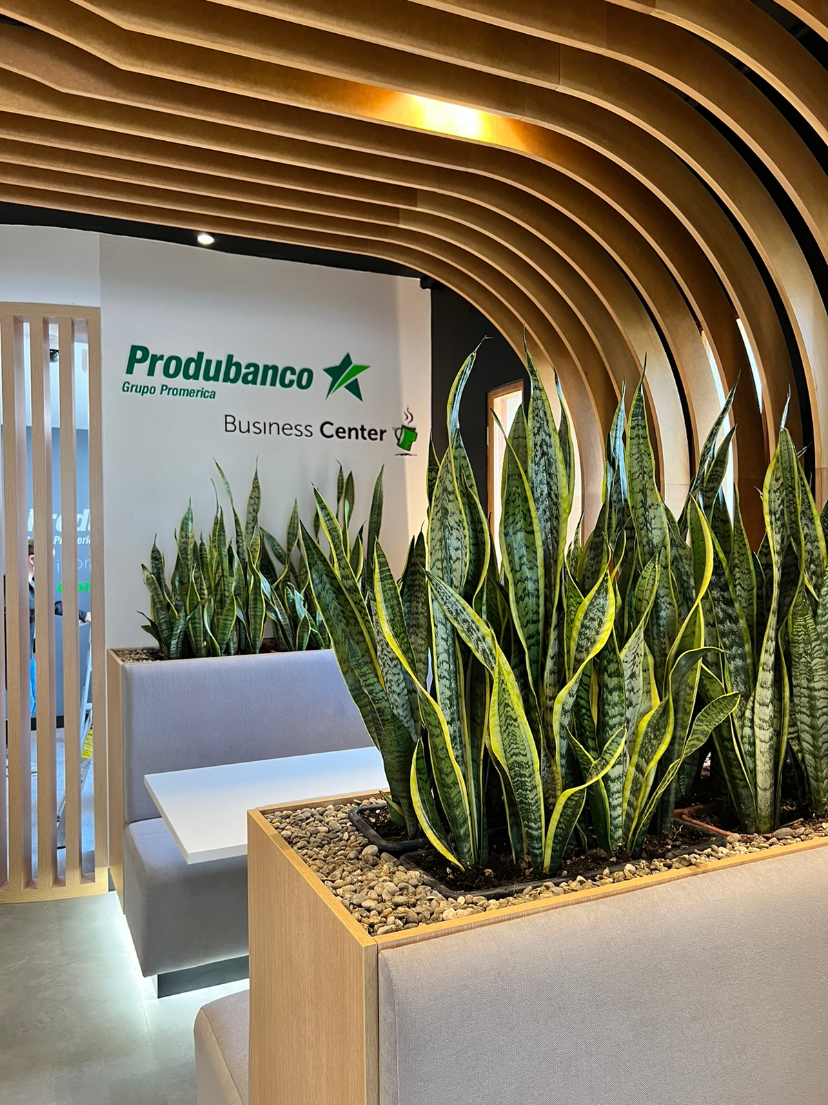 CAME ARQUITECTOS_BC PRODUBANCO 3