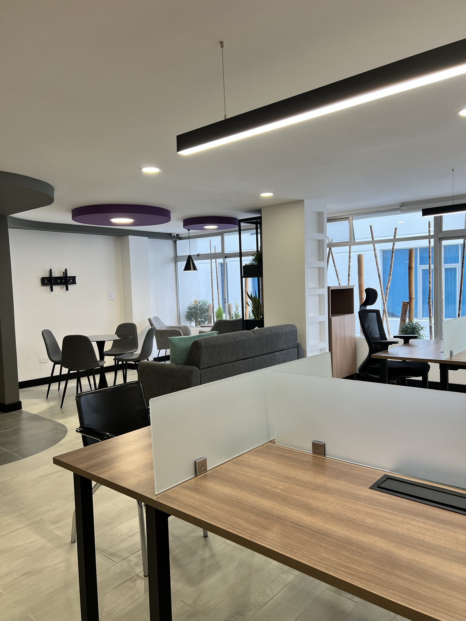 CAME ARQUITECTOS_SOLEDAD SÁENZ 3