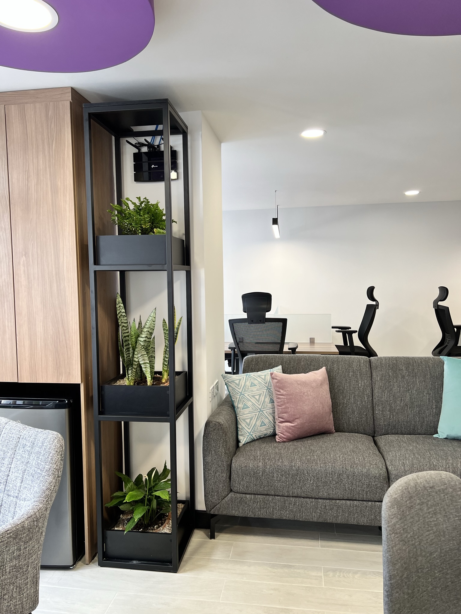 CAME ARQUITECTOS_SOLEDAD SÁENZ 4